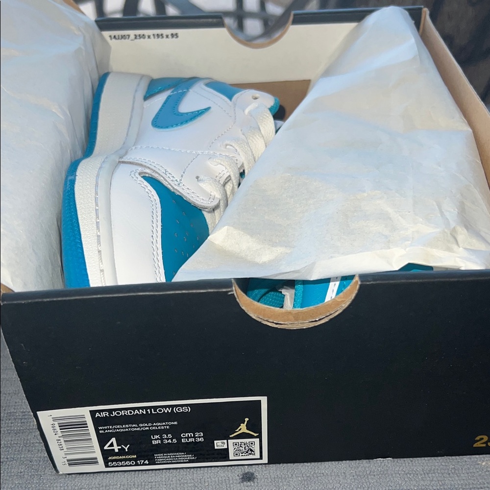 Nike Air Jordan Low Kids Sneakers White and Blue.